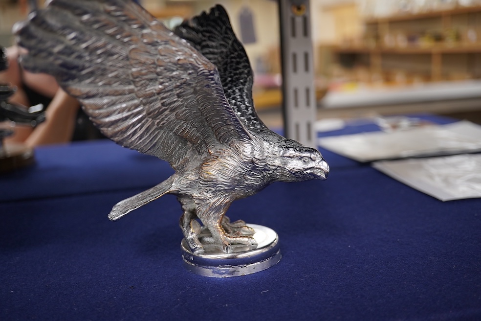 Two chrome car mascots, one in the form of an eagle stamped Finnigans London, wingspan 26cm, and the other of a classical child writing, mounted on a substantial radiator cap and oak base. Condition - fair to good, some